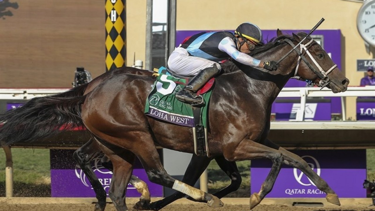 Aloha West, winner of the Breeders' Cup Sprint (Gr.1) in ... Image 1